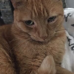 Meet your Posher, Marla